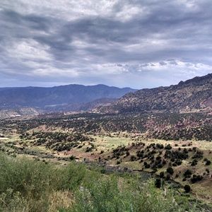 Meet your Posher, Nikki